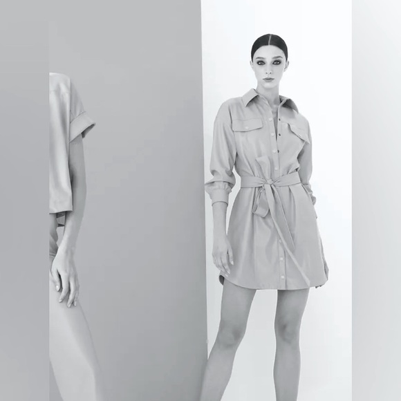 Alice + Olivia Miranda Vegan Leather Tie Waist Brown Mini Dress - Picture 5 of 16